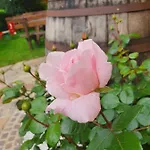 Szálloda Landhof Steinbaeck 3*