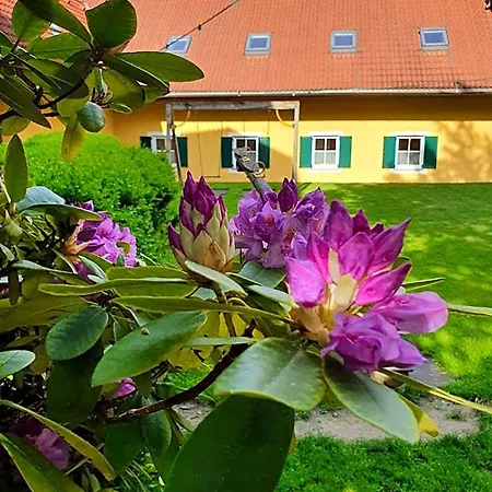 Hotel Landhof Steinbaeck Sankt Stefan ob Stainz