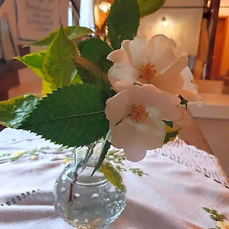 Hotel Landhof Steinbaeck 3*