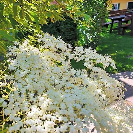Hotel Landhof Steinbaeck