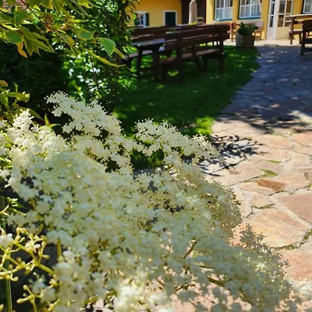 Landhof Steinbaeck Otel 3*