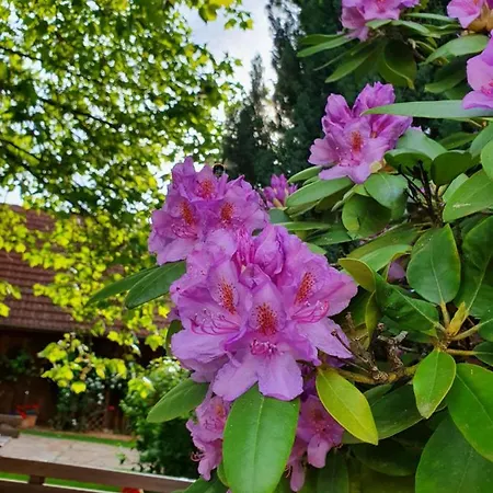 Landhof Steinbaeck 3* Sankt Stefan ob Stainz