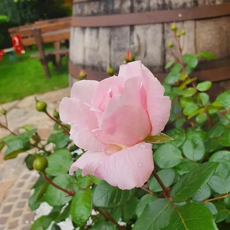 Hotel Landhof Steinbaeck 3*