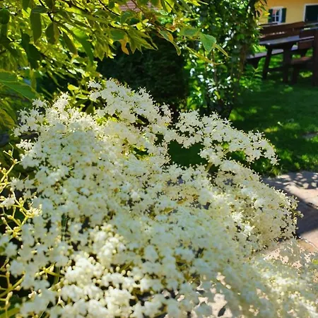 Landhof Steinbaeck Otel