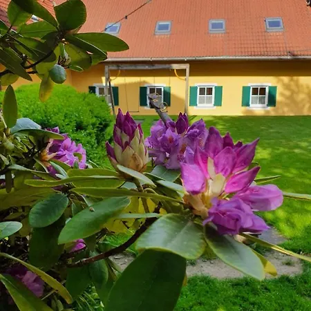 Hotel Landhof Steinbaeck Sankt Stefan ob Stainz