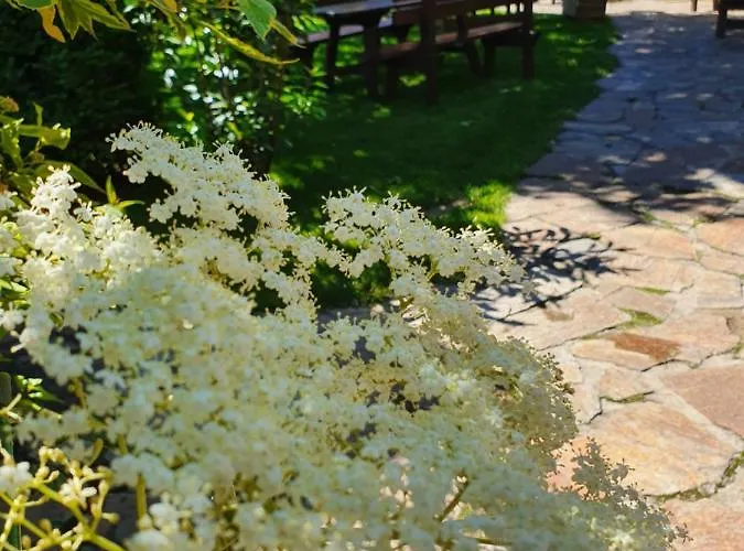 Landhof Steinbaeck Hotell 3*