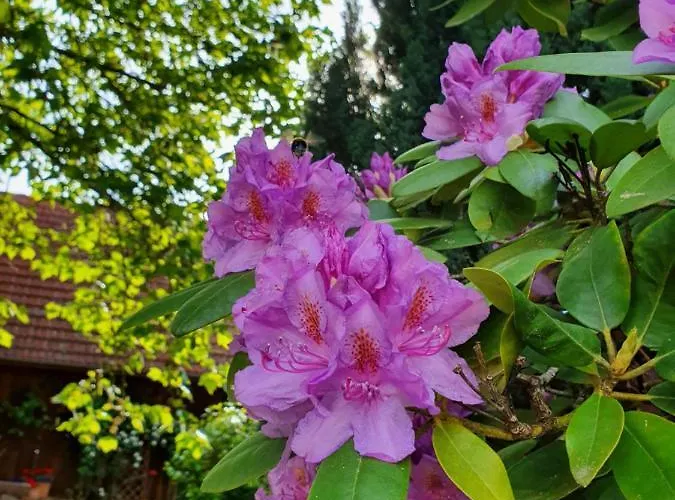 Landhof Steinbaeck 3* Sankt Stefan ob Stainz