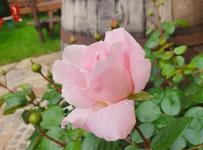 Hotel Landhof Steinbäck 3*