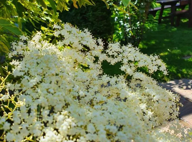 Landhof Steinbäck Hotel