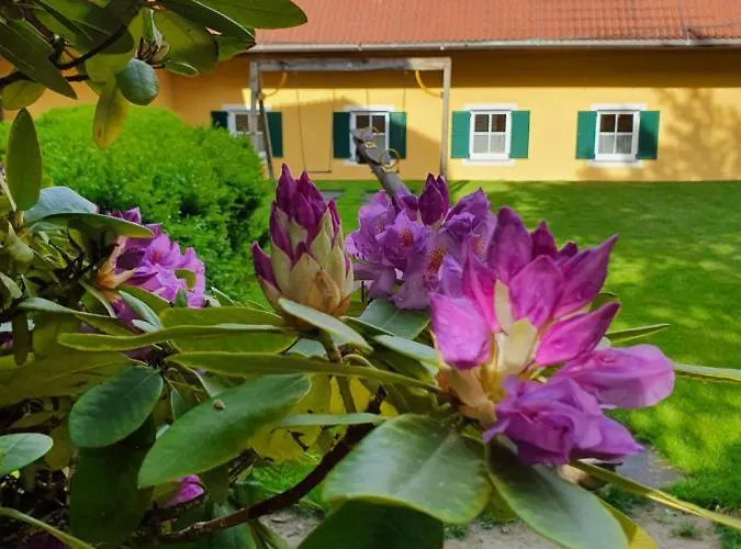 Hotell Landhof Steinbaeck Sankt Stefan ob Stainz